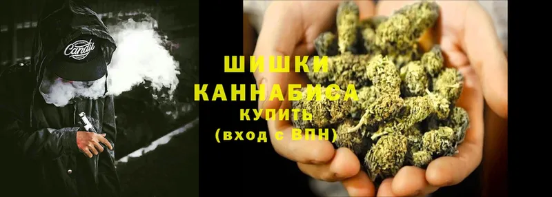 MEGA ссылки  Злынка  Марихуана LSD WEED 